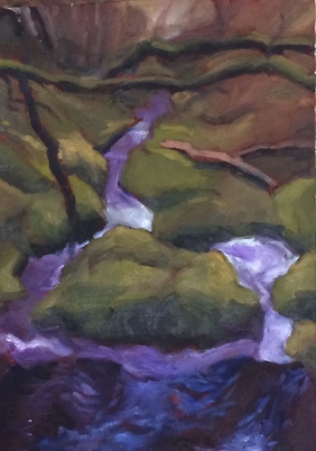 The river on Dartmoor